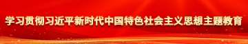 男的机机插进女的鸡鸡软件学习贯彻习近平新时代中国特色社会主义思想主题教育